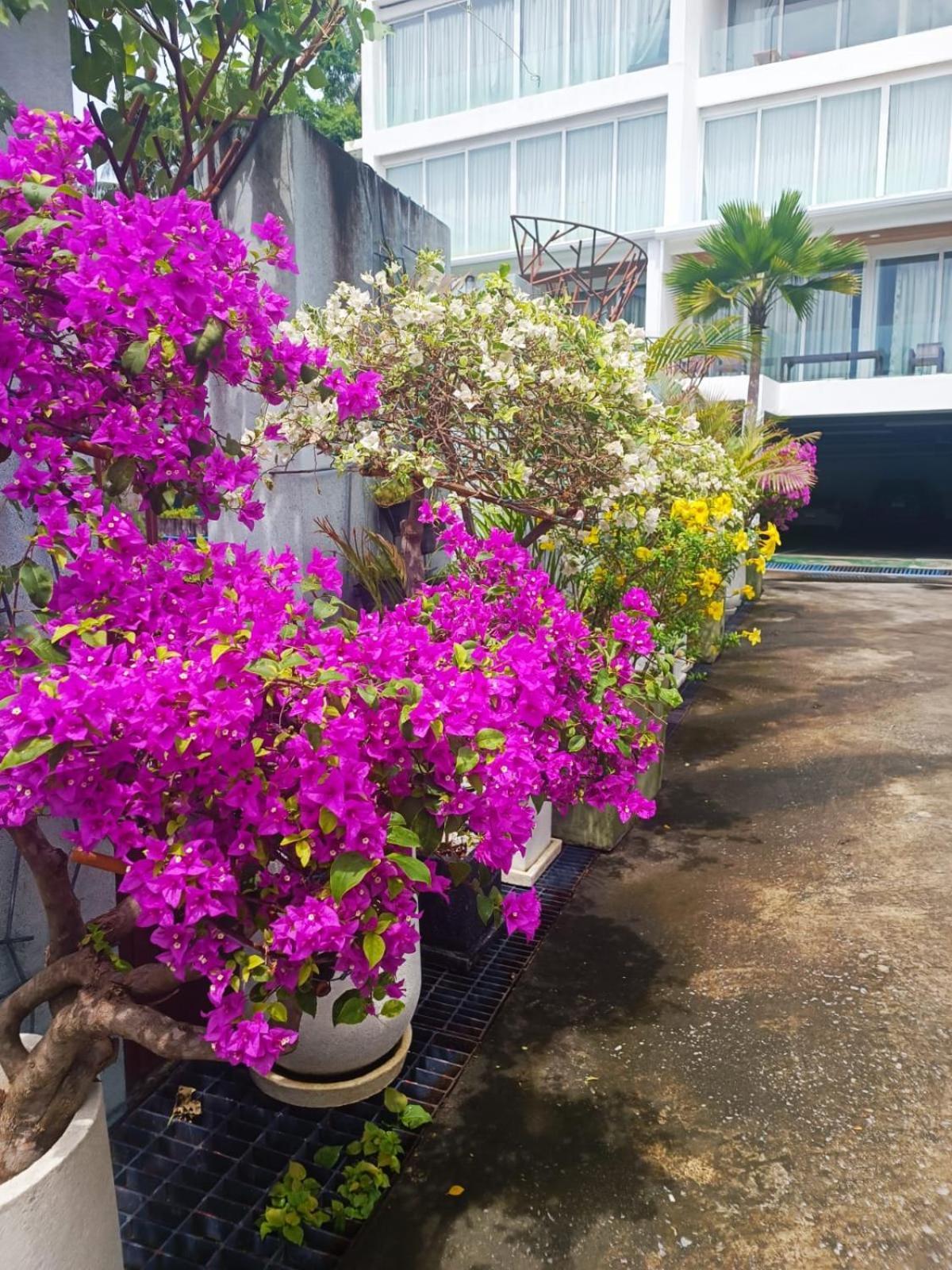 Smart Conzept 2Bdr Apartment Pantai Kata Luaran gambar
